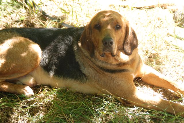 Dsc_0015.jpg