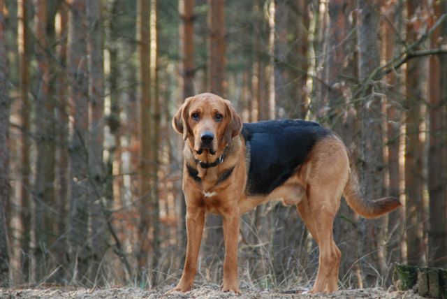 Dsc_0457.jpg