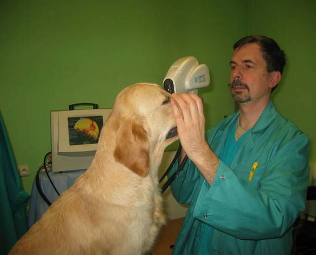Badanie przy użyciu fundus kamery.jpg