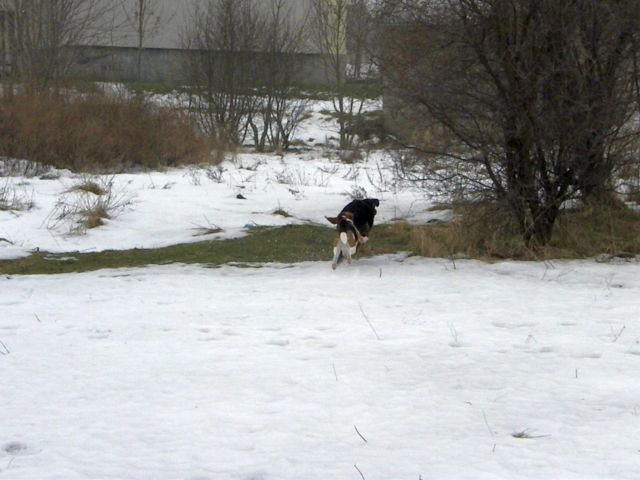 ...chodu, to znowu ten plotuch.