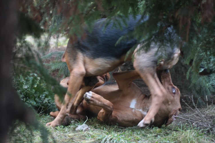 Jak się trochę postarasz, to się wciśniesz...