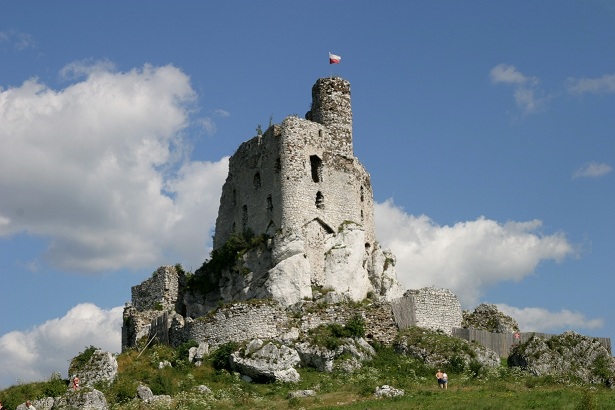 121.JPG