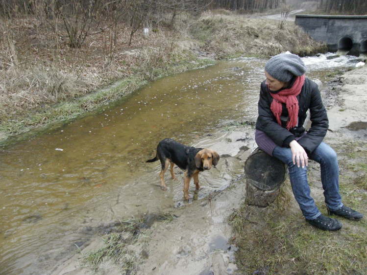 Brodzący...