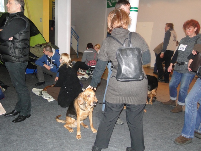 DSC00722.JPG