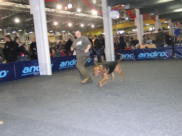 DSC00766.JPG