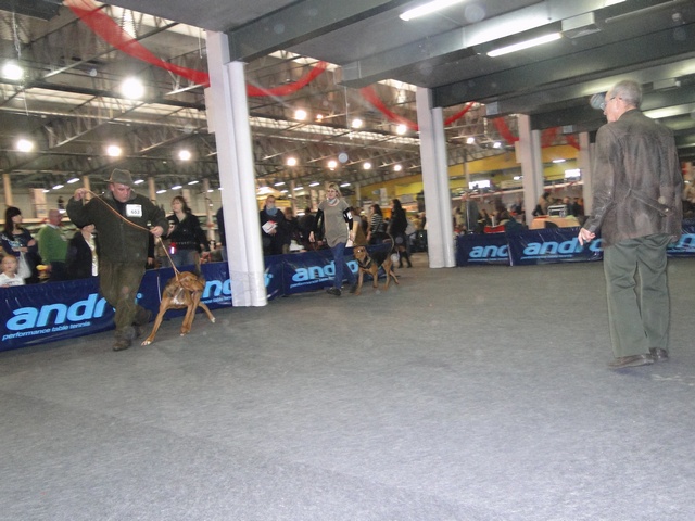 DSC00771.JPG