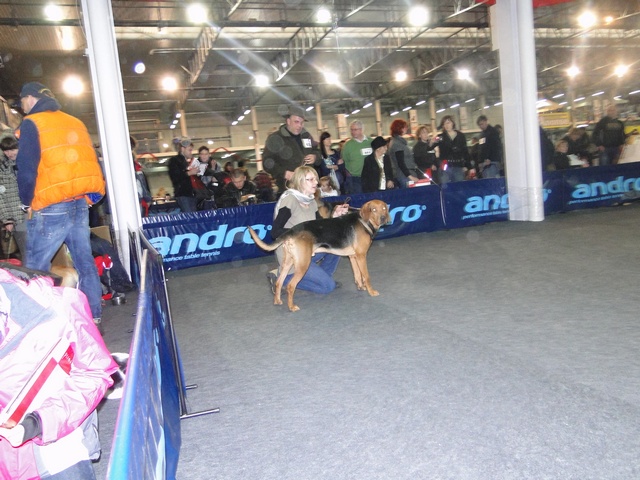 DSC00774.JPG