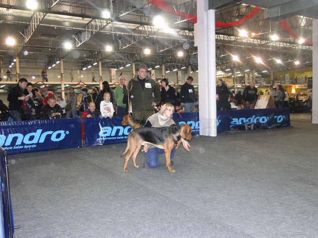 DSC00780.JPG