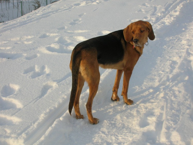 DSCN4788.JPG