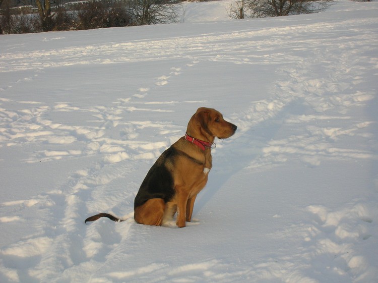 DSCN4790.JPG