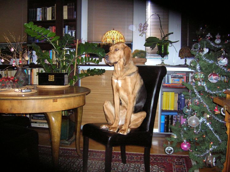 DSCN4867.JPG