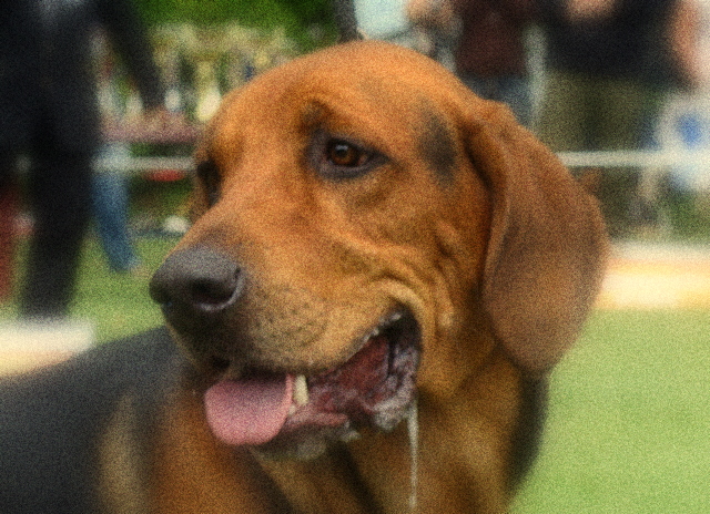 DSC00822-1.JPG
