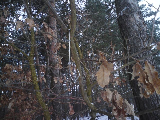 DSC00010.jpg
