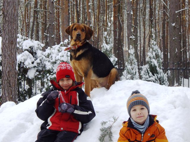 Swarożyc luty 2010.JPG