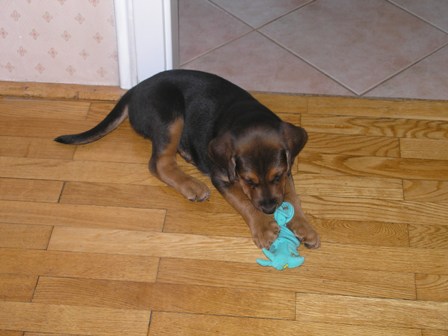 wigilia2007 031.jpg