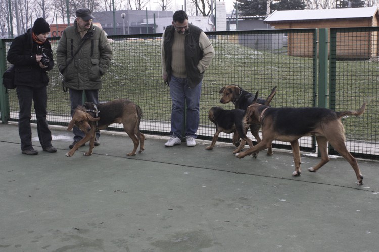 Zgadnijcie! Kto jest czyj? :)