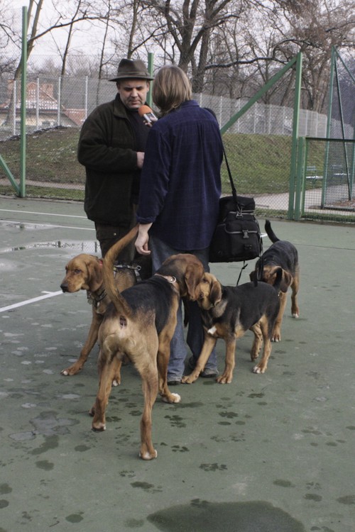 Ogary na barykady! Głos Ogarów głosem narodu!