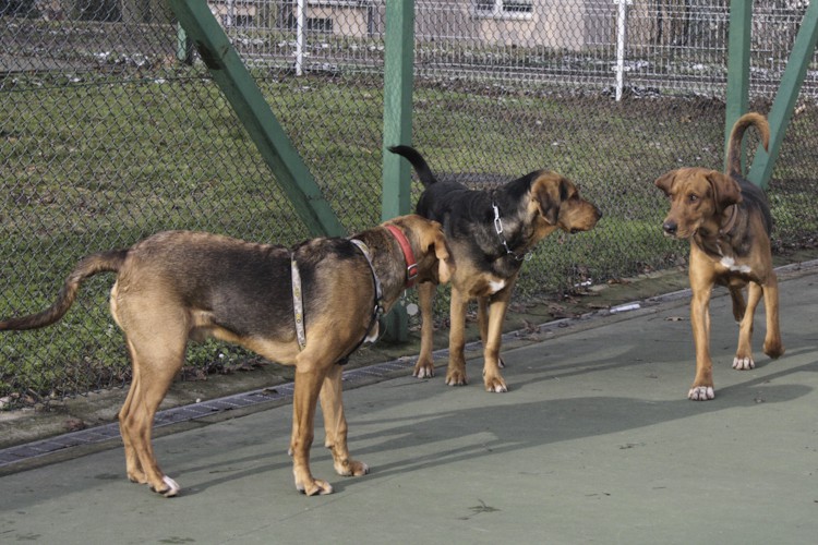 Jak dzieci! Daję słowo!