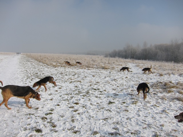 29.01.2011 much07.JPG