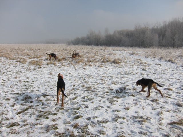 29.01.2011 much08.JPG
