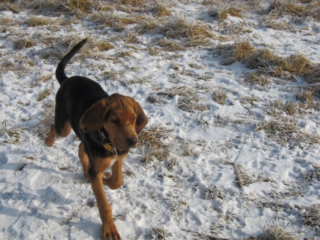 29.01.2011 much15.JPG