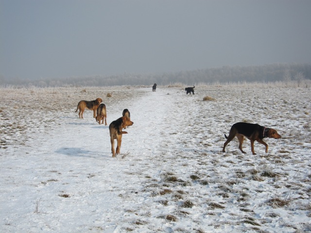 29.01.2011 much20.JPG