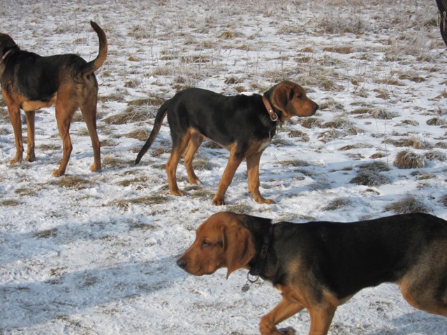 29.01.2011 much21.JPG