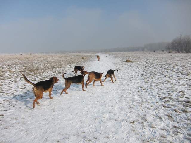 29.01.2011 much27.JPG