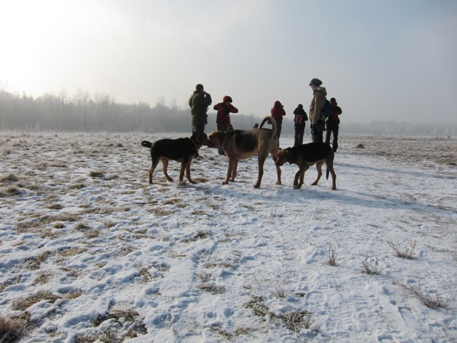 29.01.2011 much30.JPG