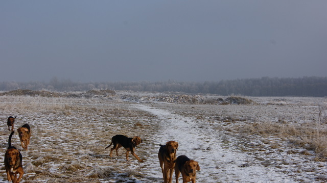 DSC07896.JPG