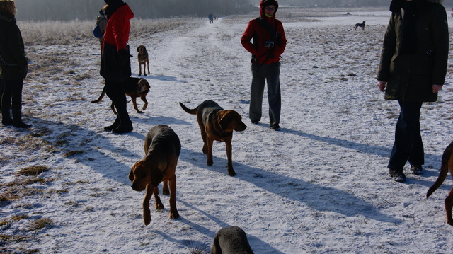 DSC07939.JPG