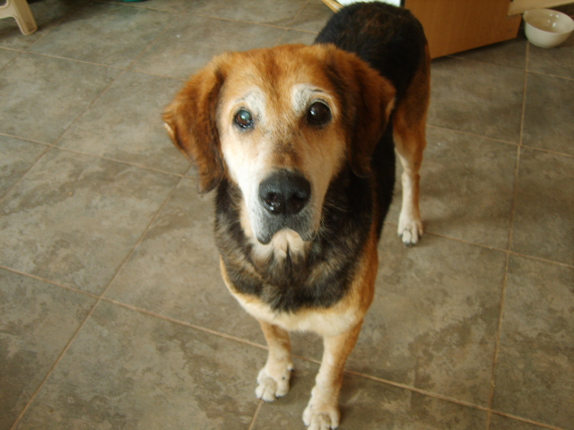 OGARKI  MARZEC 2009 001.jpg