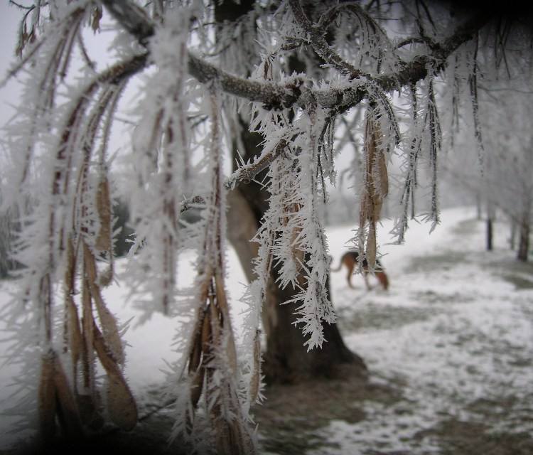 DSCN4955.JPG