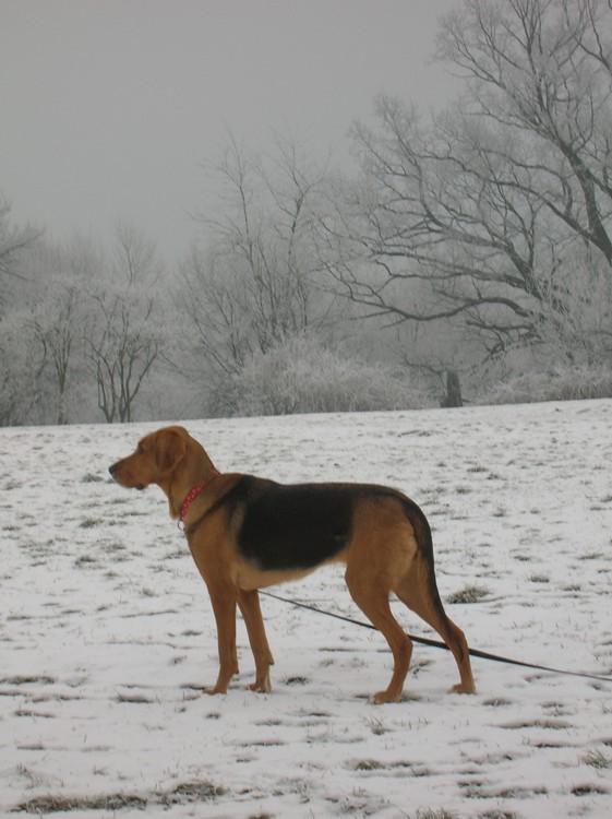 DSCN4970.JPG