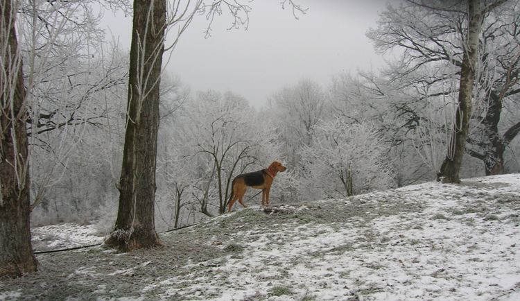 DSCN4974.JPG