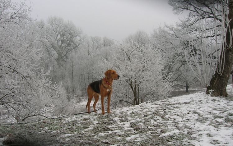 DSCN4976.JPG
