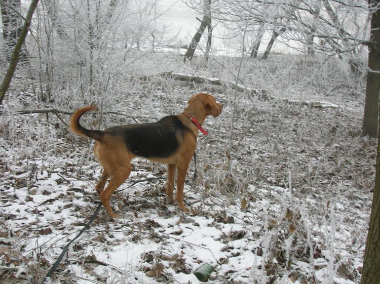 DSCN5035.JPG