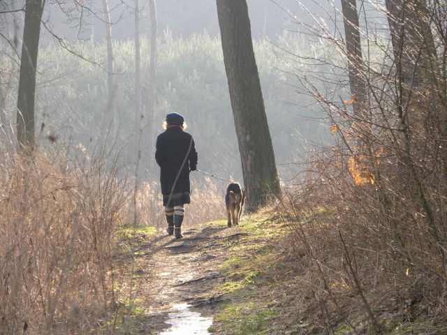 Zdegustowani takim obrotem sprawy powędrowali...