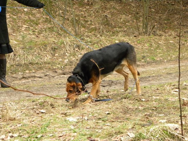 Obraz 033.jpg