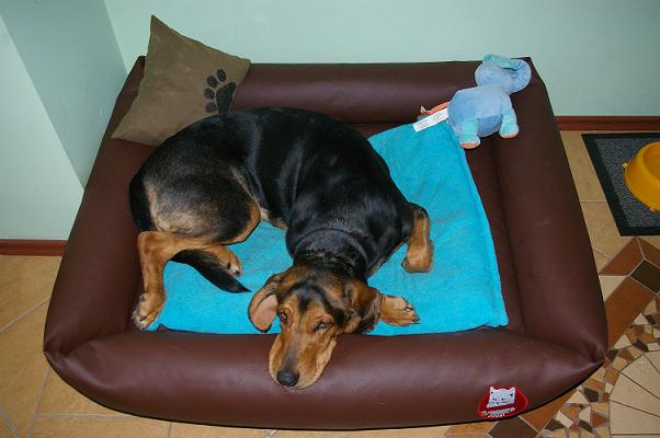 IMGP3475.JPG