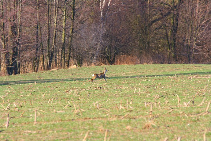IMG_4700.jpg