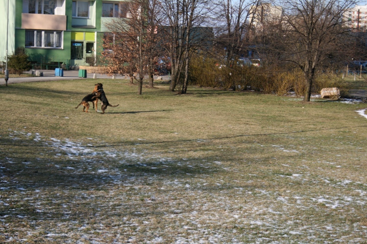 IMG_0472.JPG