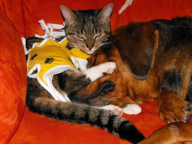DSCF5015.JPG