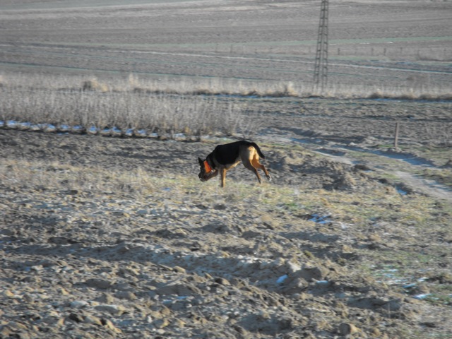 DSCF5026.JPG