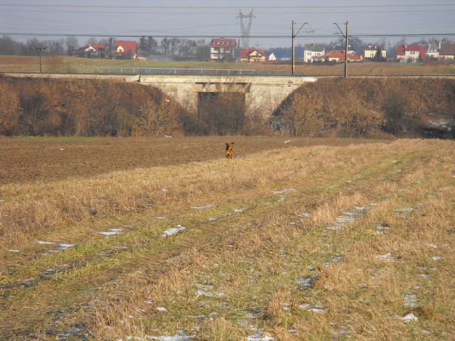 DSCF5028.JPG