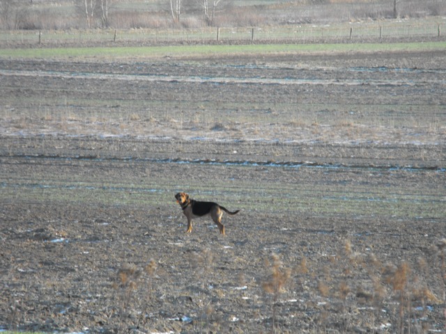 DSCF5035.JPG
