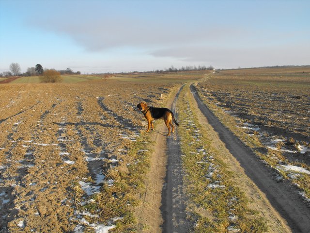 DSCF5038.JPG