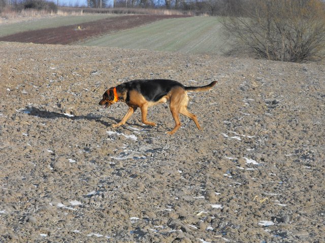 DSCF5040.JPG
