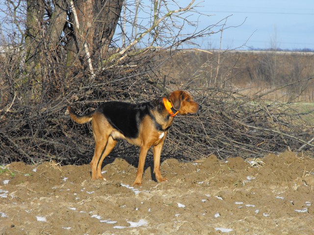 DSCF5044.JPG