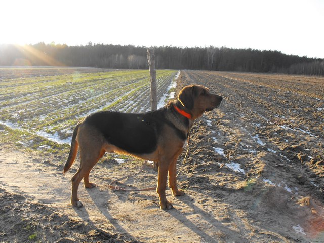 DSCF5046.JPG